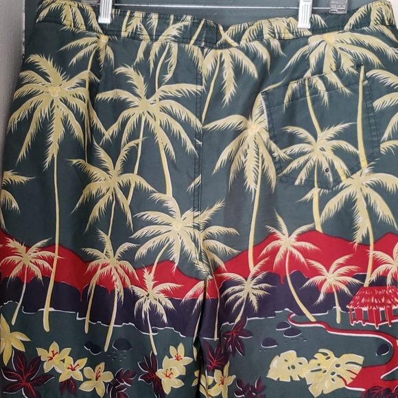 Ralph Lauren/Polo Sport Men's Swim Trunks Size 40 - Picture 4 of 6